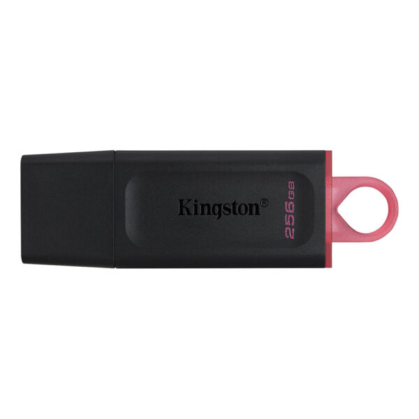 Kingston DataTraveler Exodia 256GB USB 3.2 Gen 1 Flash Drive DTX 256GB 1