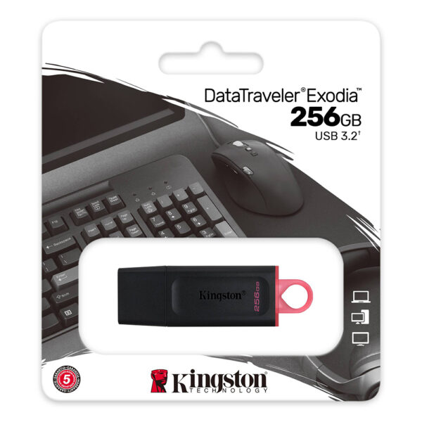 Kingston DataTraveler Exodia 256GB USB 3.2 Gen 1 Flash Drive DTX 256GB 3