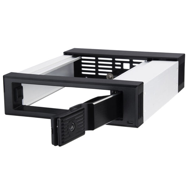 SilverStone Hot Swap 5.25" Bay fs301 1
