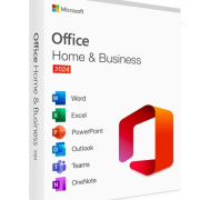 MS Office Home and Business (EP2-06629)
