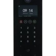 Dahua IP Apartment D/Station (DHI-VTO6521H)