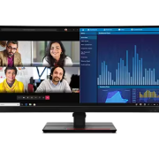 Lenovo ThinkVision P34W-20 34.14" (63F2RAR3AU)